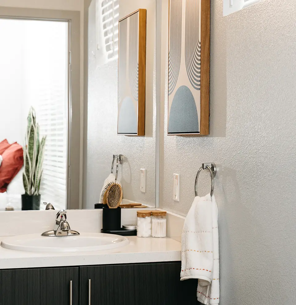 bathroom vanity